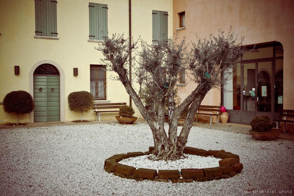 Agriturismo Cascina Boschi Apartment Volta Mantovana Luaran gambar